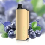 4526380639_large.webp – Vape wholesaler south africa | Wholesale vape south africa
