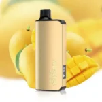 4526427557_large.webp – Vape wholesaler south africa | Wholesale vape south africa