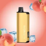 PeachIce_726001f2-a2d1-40e1-a639-87bde7971148_large.webp – Vape wholesaler south africa | Wholesale vape south africa
