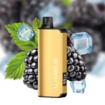 alibarbar-ingot-9000-puffs-blackberry-ice_large.webp – Vape wholesaler south africa | Wholesale vape south africa