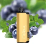 alibarbar-ingot-9000-puffs-blueberry-mint_large.webp – Vape wholesaler south africa | Wholesale vape south africa