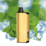 alibarbar-ingot-9000-puffs-cool-mint_large.webp – Vape wholesaler south africa | Wholesale vape south africa