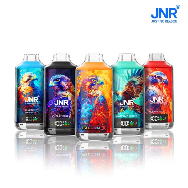 JNR Falcon X 18000 Puffs Disposable Vapes Wholesale South Africa | Bulk  Supplier